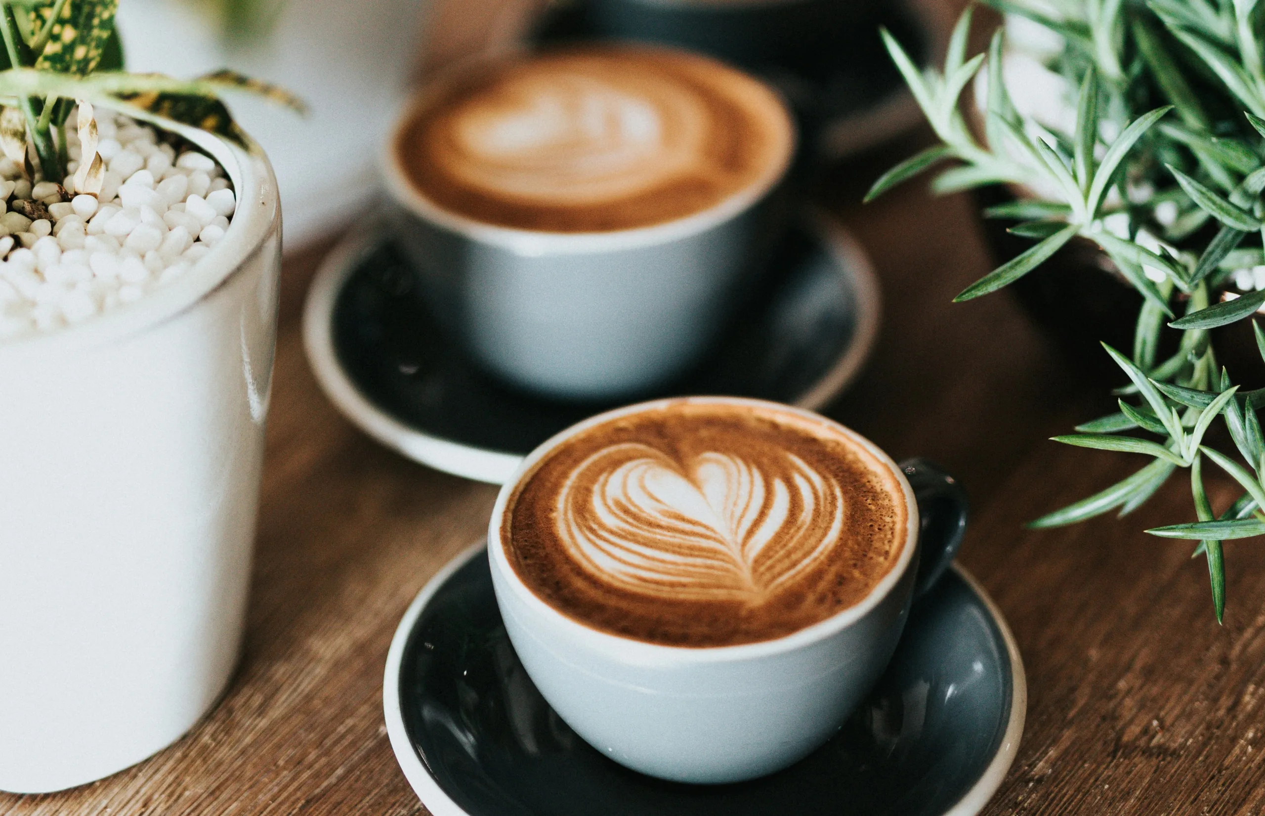 6 Bloomington IL coffee shops worth visiting